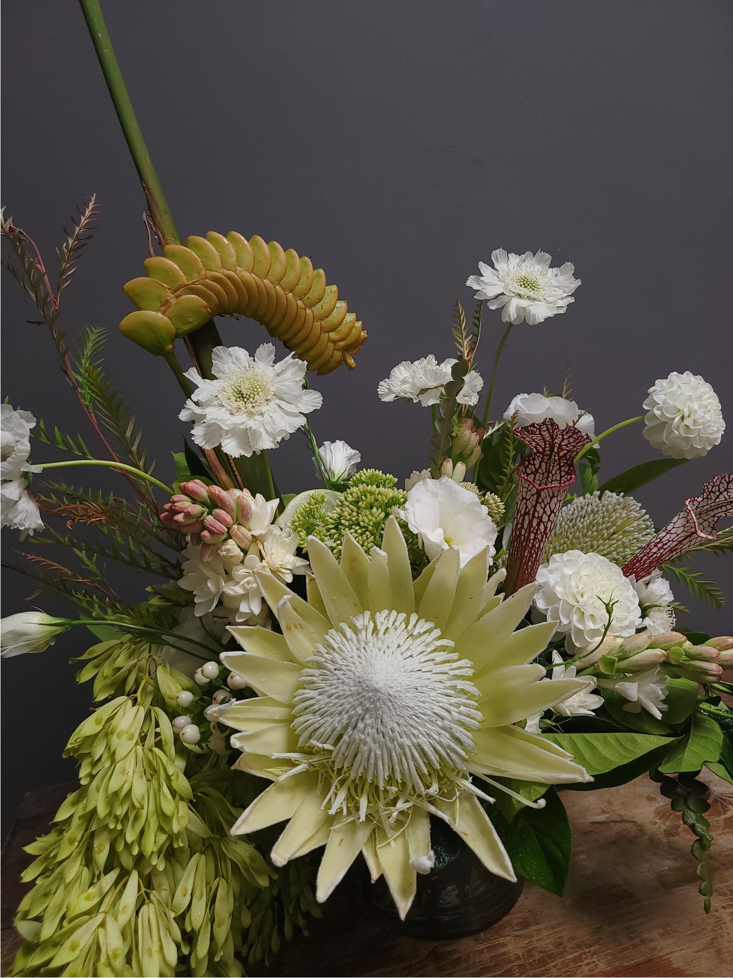 Protea Special