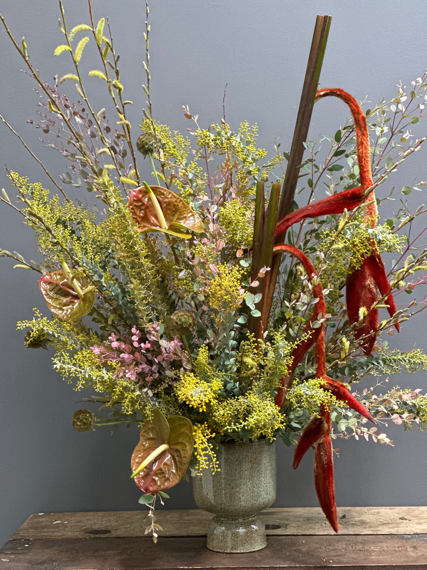 Designer's Choice: Organic Tall