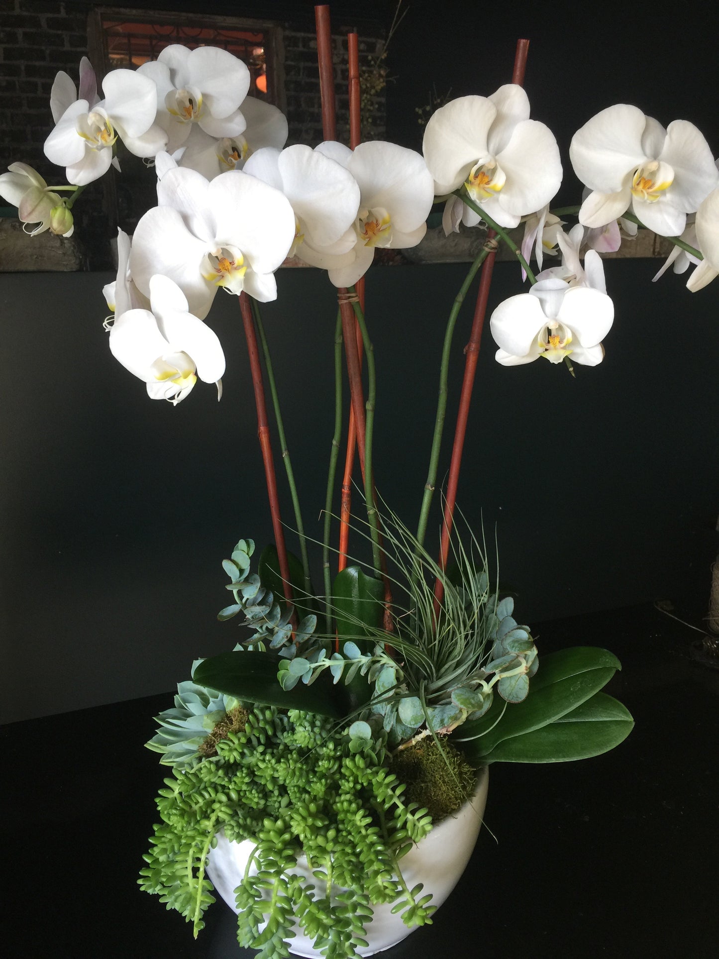 Extra Large (XL) Orchid