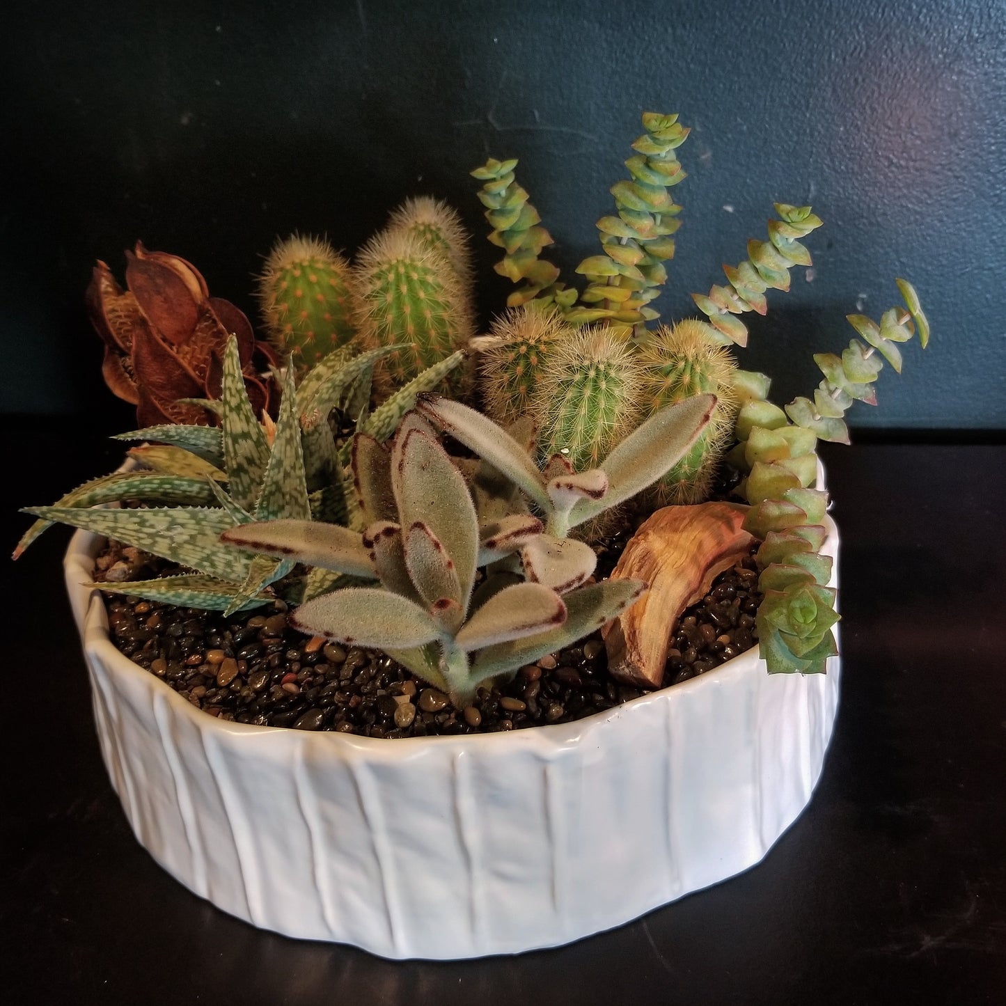 Mixed Succulent Planter $175