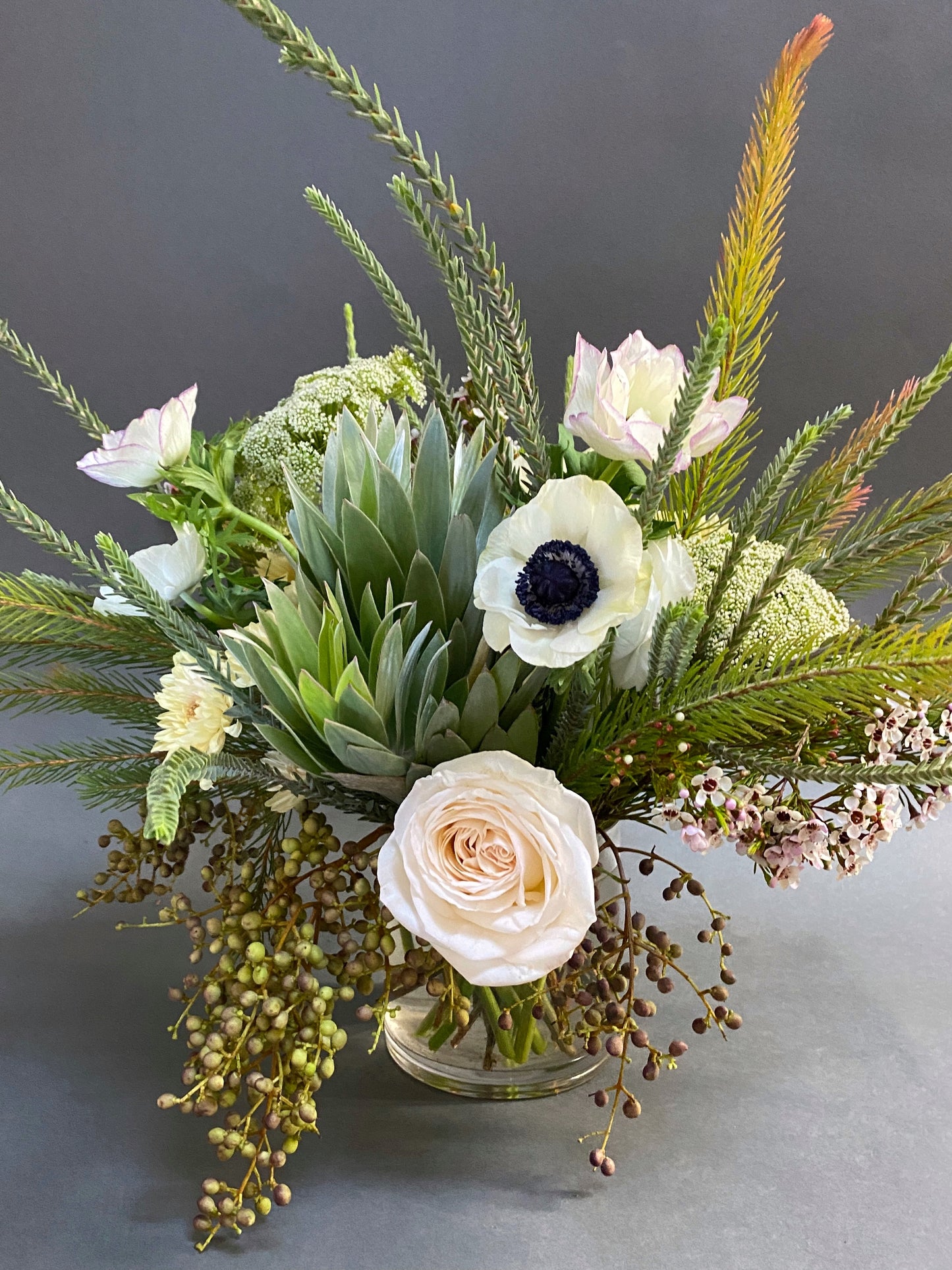 Designer's Choice: Organic Neutral