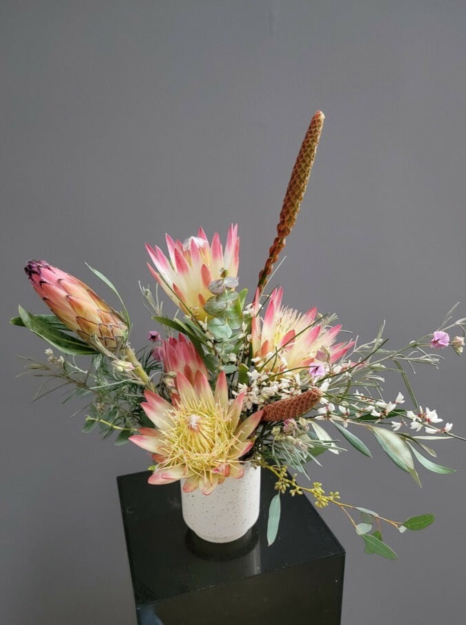 Protea Special