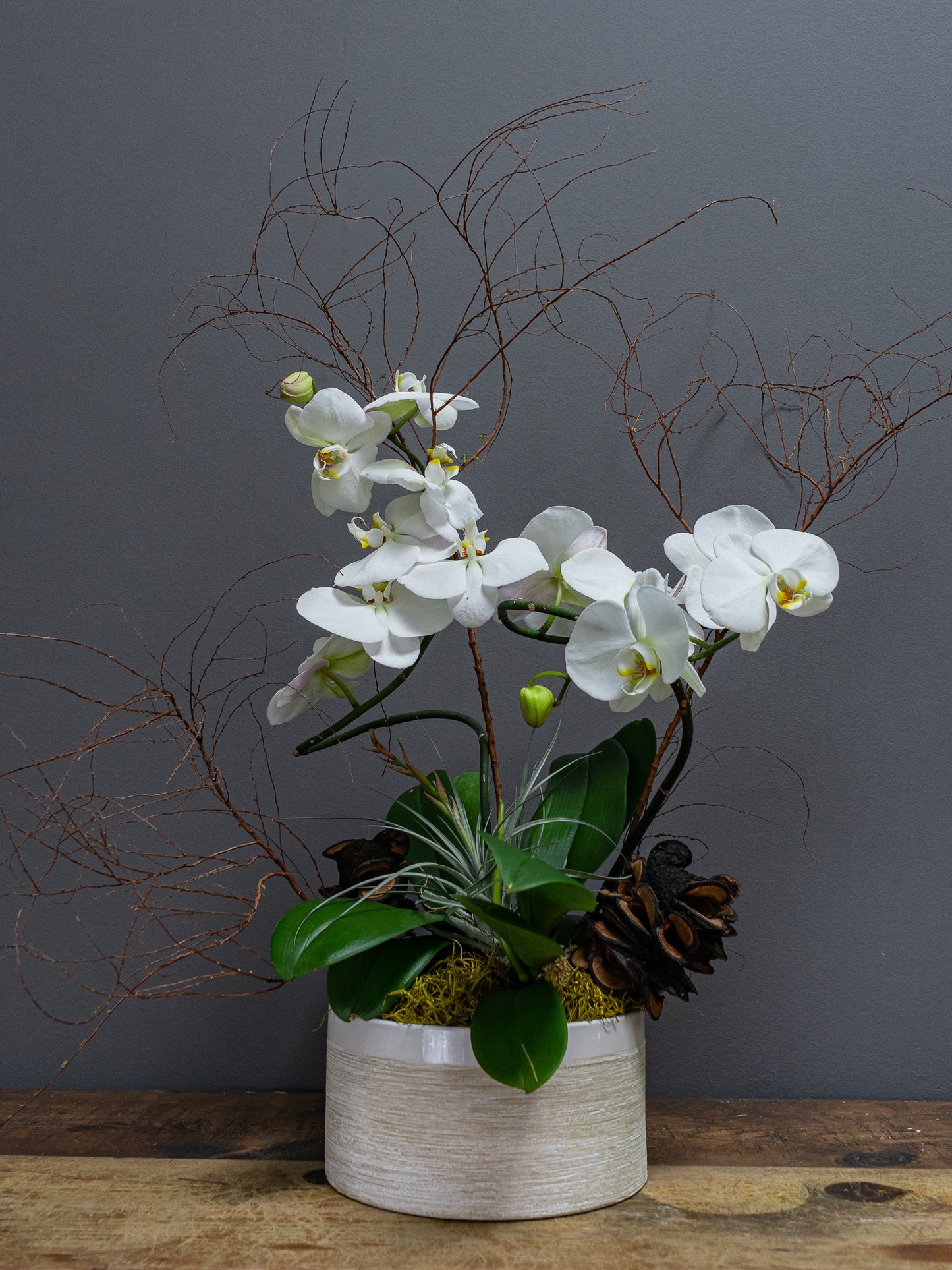 Orchid Planter