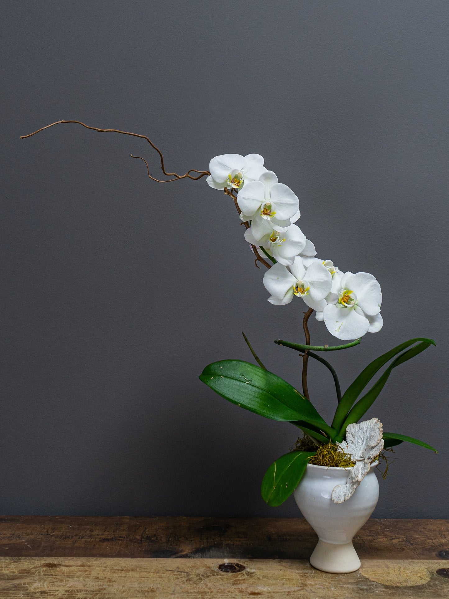 Orchid Planter