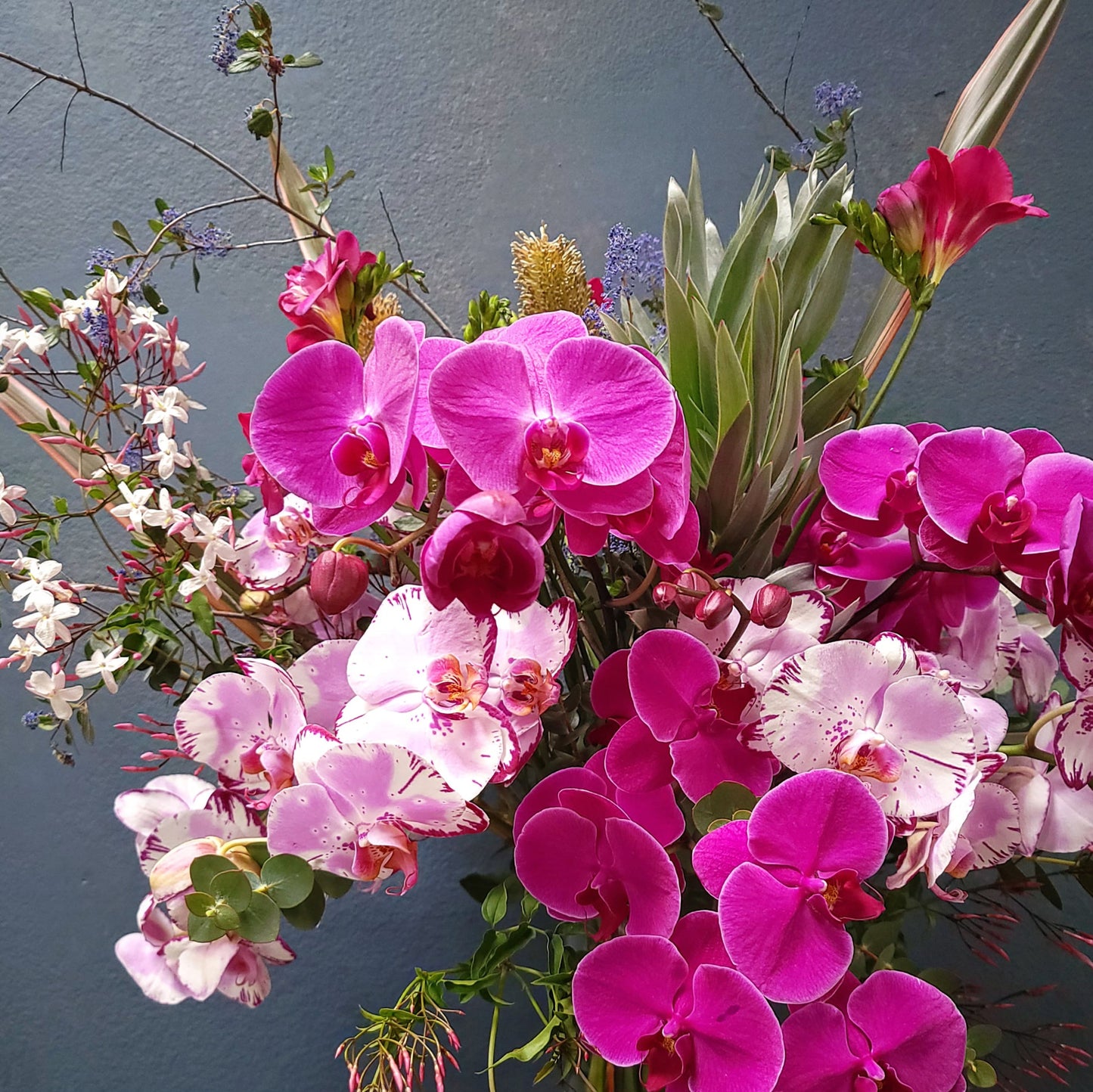 Fresh-Cut Orchid Arrangement