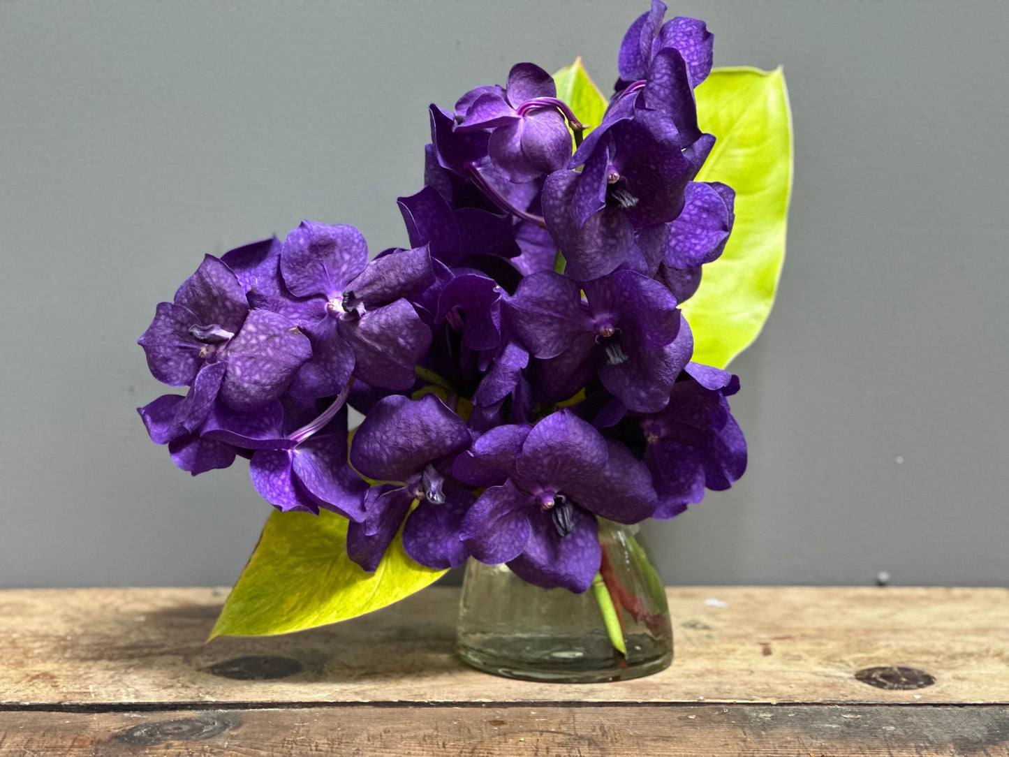 Vanda Bud Vase