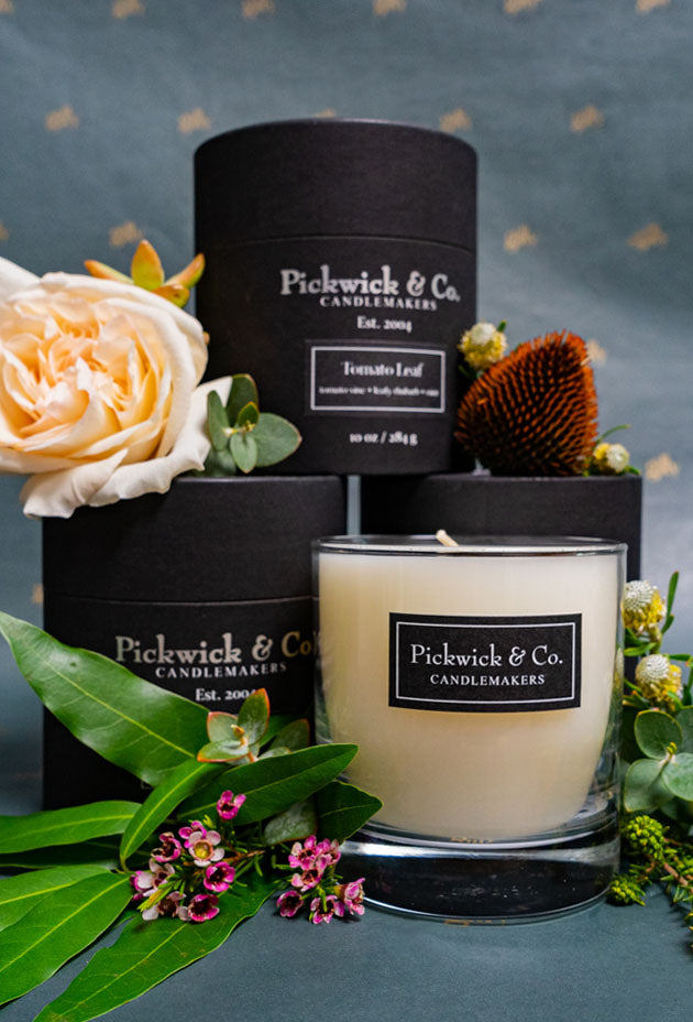 Pickwick & Co. Candlemakers