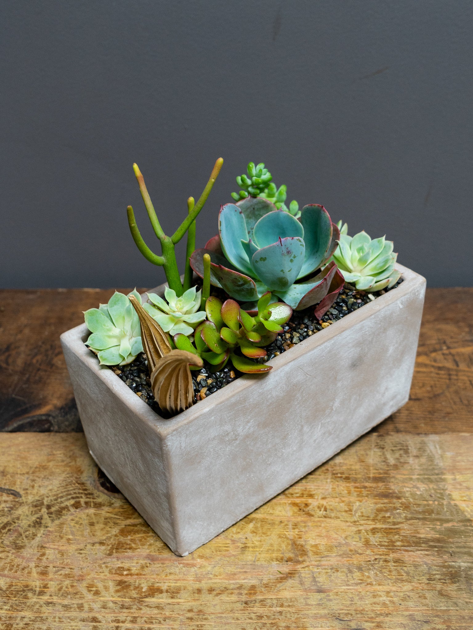 succulent initial planter Mixed Succulent Planter – GillyFlowers