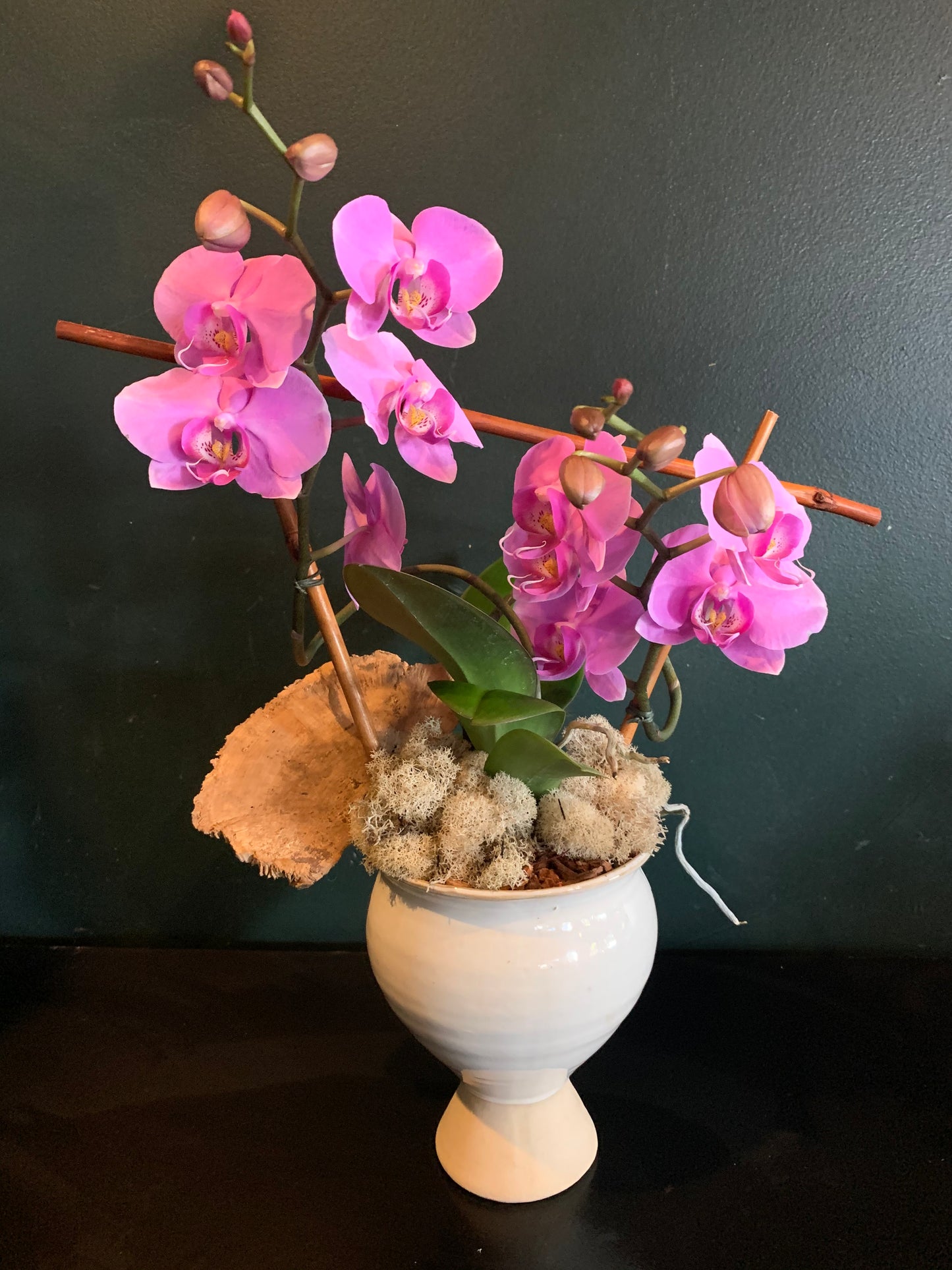 Medium (M) Orchid